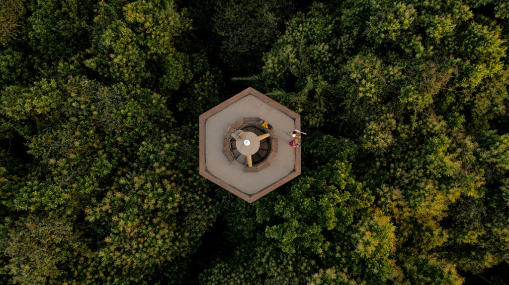 Qué ver en el Panama Rainforest Discovery Center
