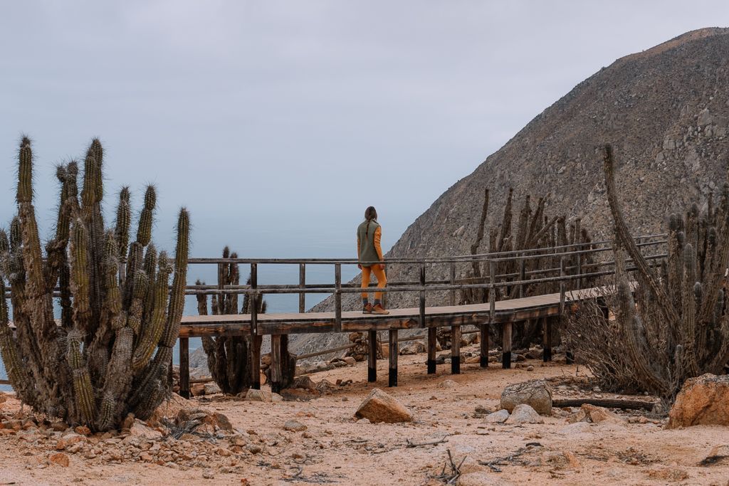 Parque Nacional Pan de Azúcar, Chile