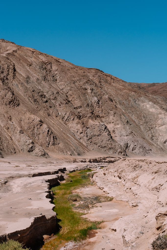 Aguada Quinchihue en Parque Nacional Pan de Azúcar, Chile