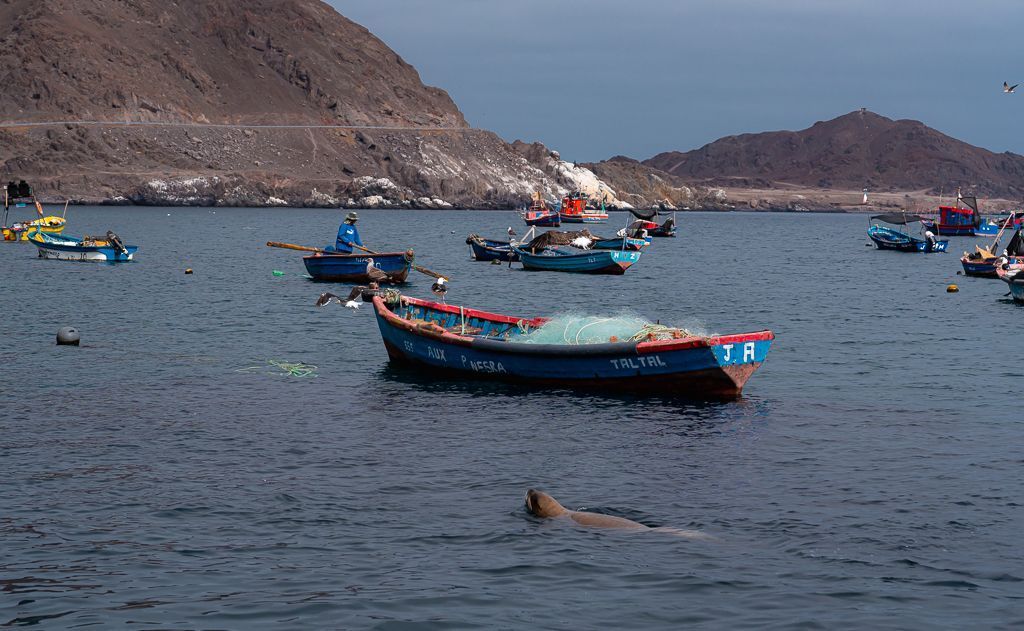 Pescadores de Taltal, Chile Pescadores de Taltal, Chile