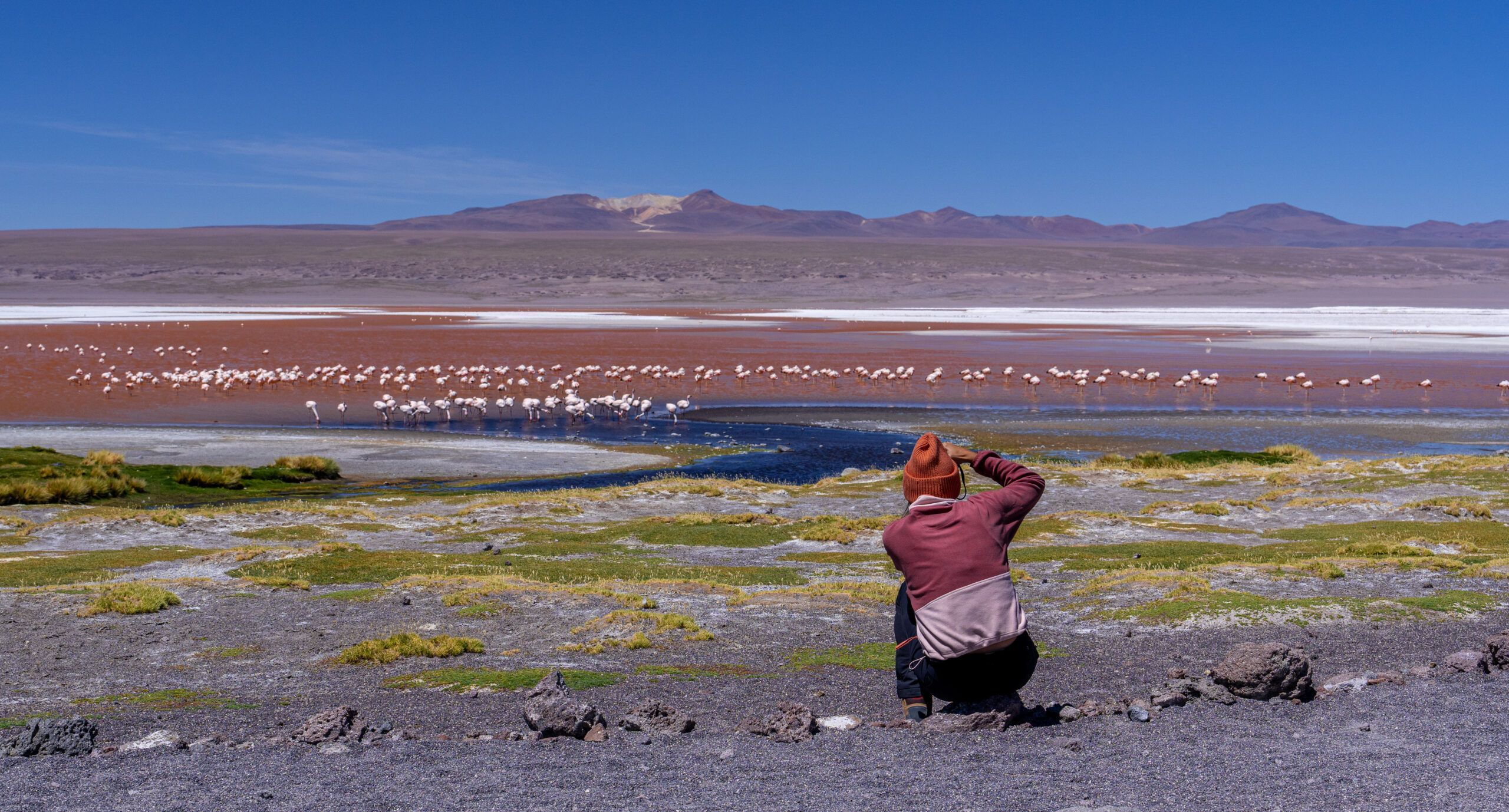 Laguna Colorada en Bolivia