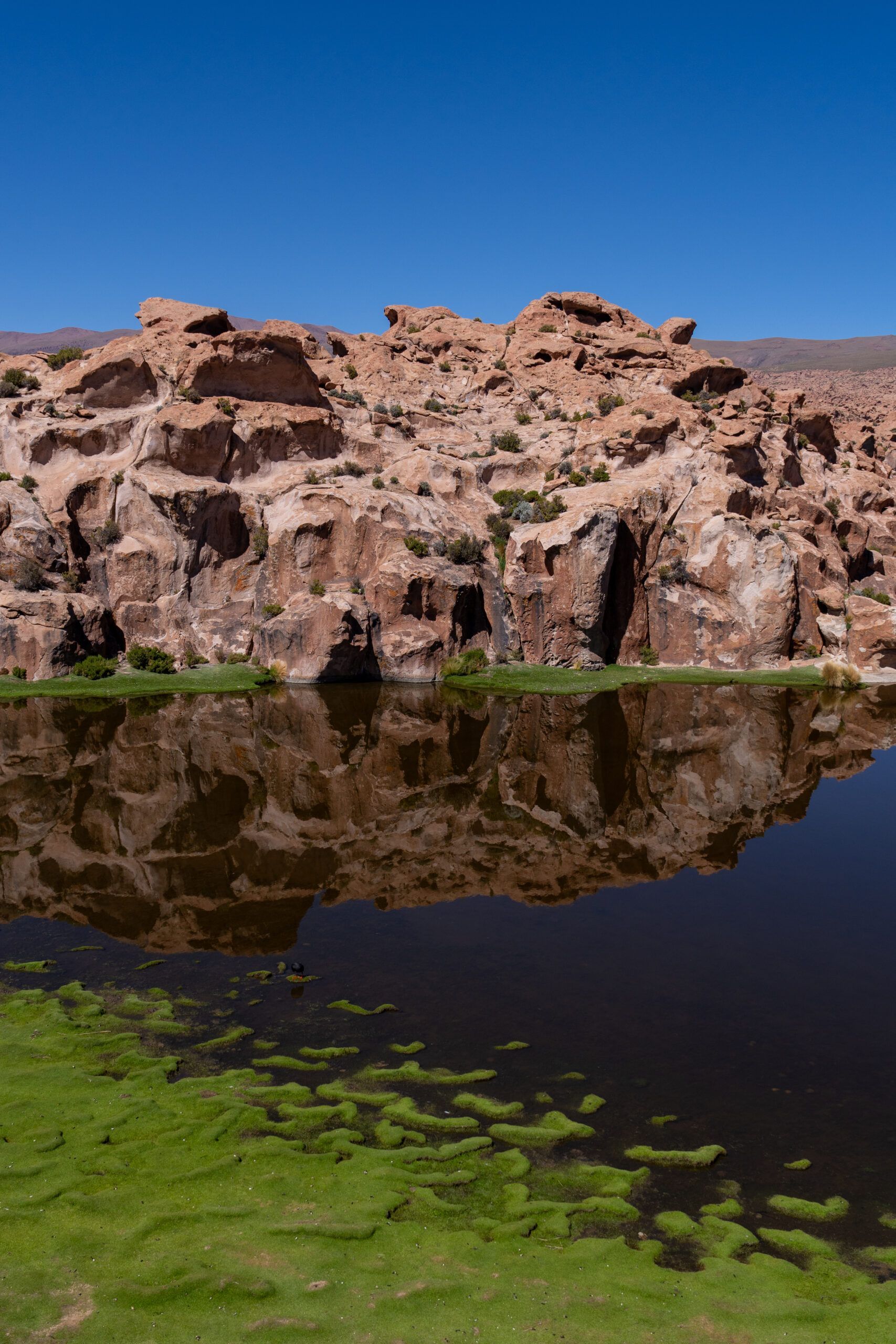 Laguna Catal en Bolivia