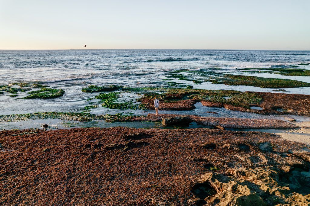 La Jolla Cove al atardecer
