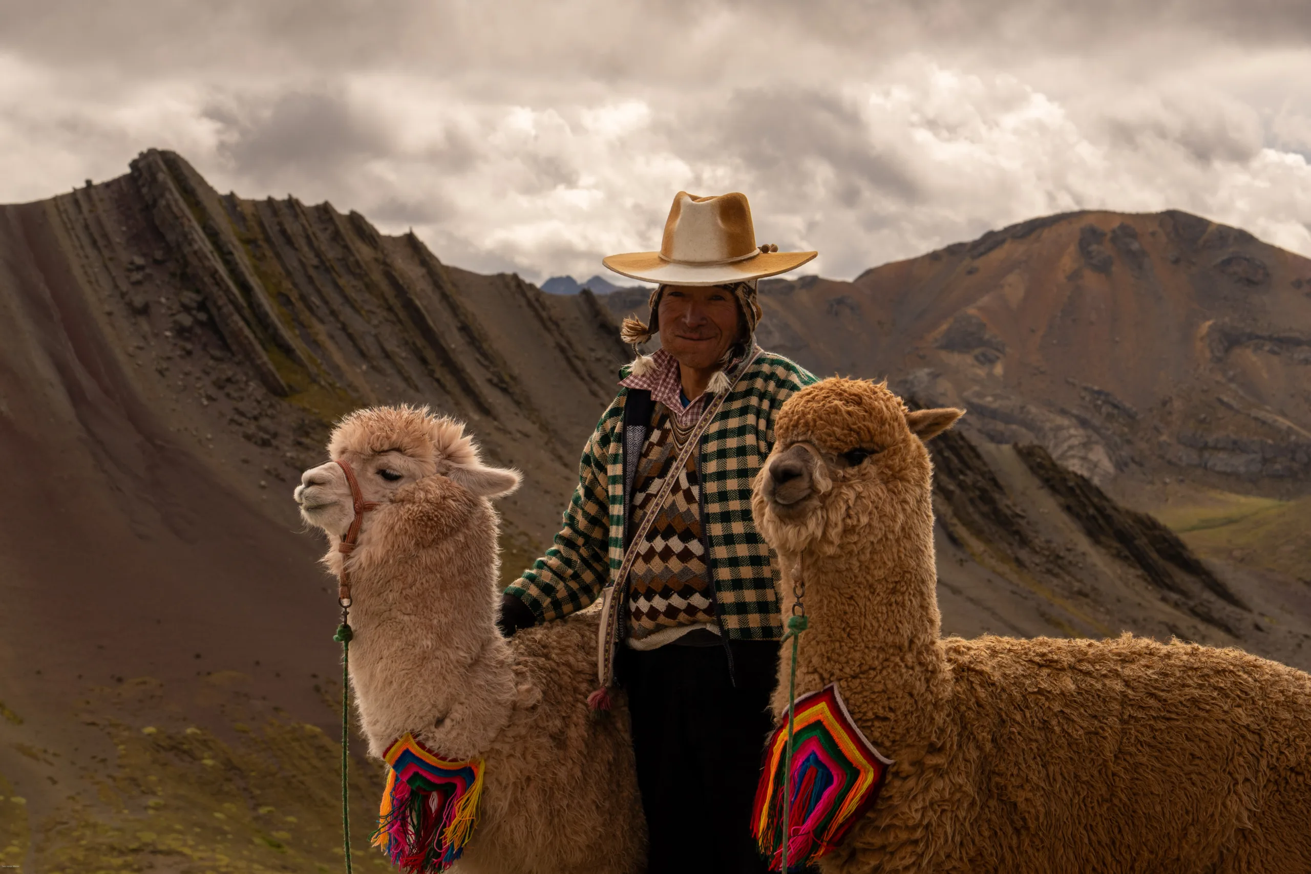 Palcoyo